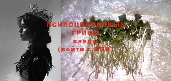 ALPHA PVP Алзамай