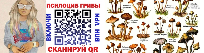 Псилоцибиновые грибы ЛСД  Нижнеудинск 
